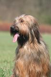 BRIARD 234